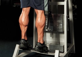 4 Reasons Why You Should Train Your Legs