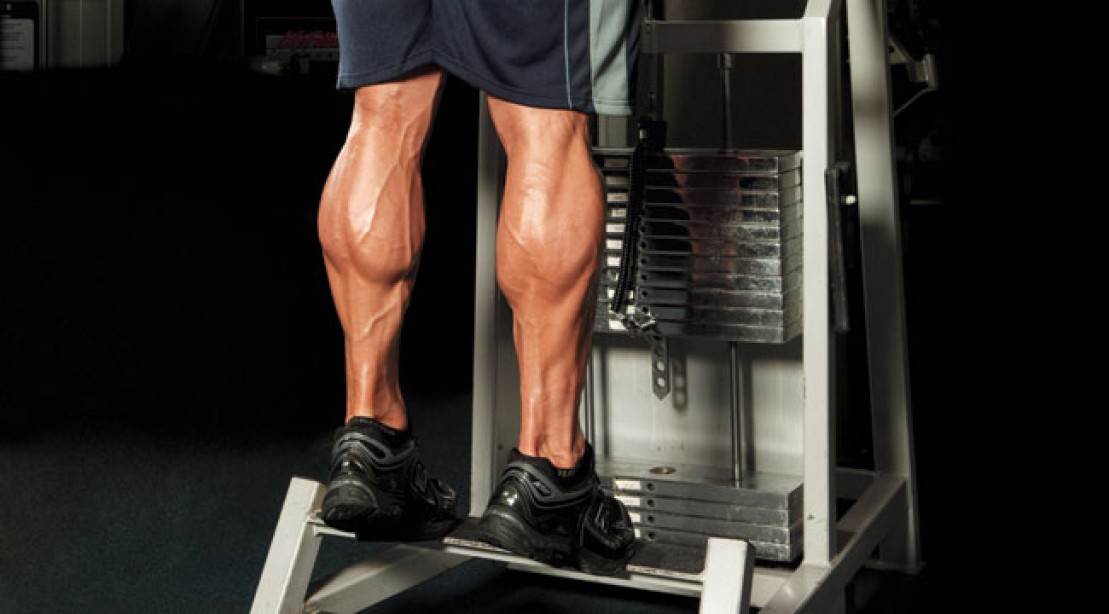 4 Reasons Why You Should Train Your Legs