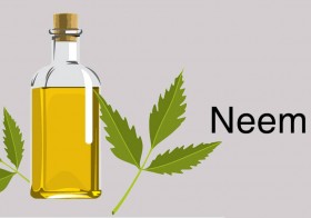7 Methods to Reduce Dandruff with Neem Oil
