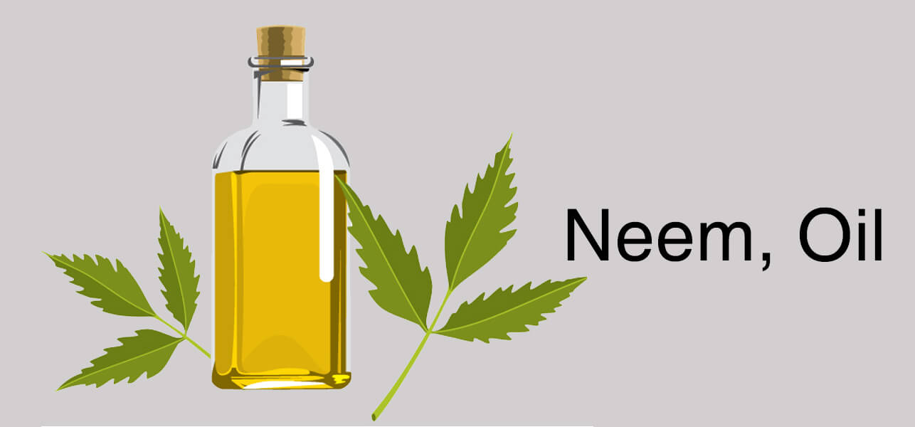 7 Methods to Reduce Dandruff with Neem Oil