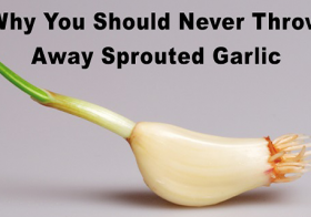 7 Reasons Why you Should Never Throw Away Sprouted Garlic