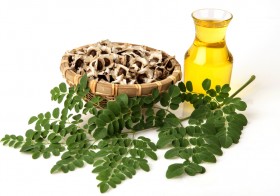 6 Healthy Benefits Of Moringa